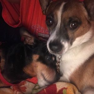 Meet your Posher, Andrea